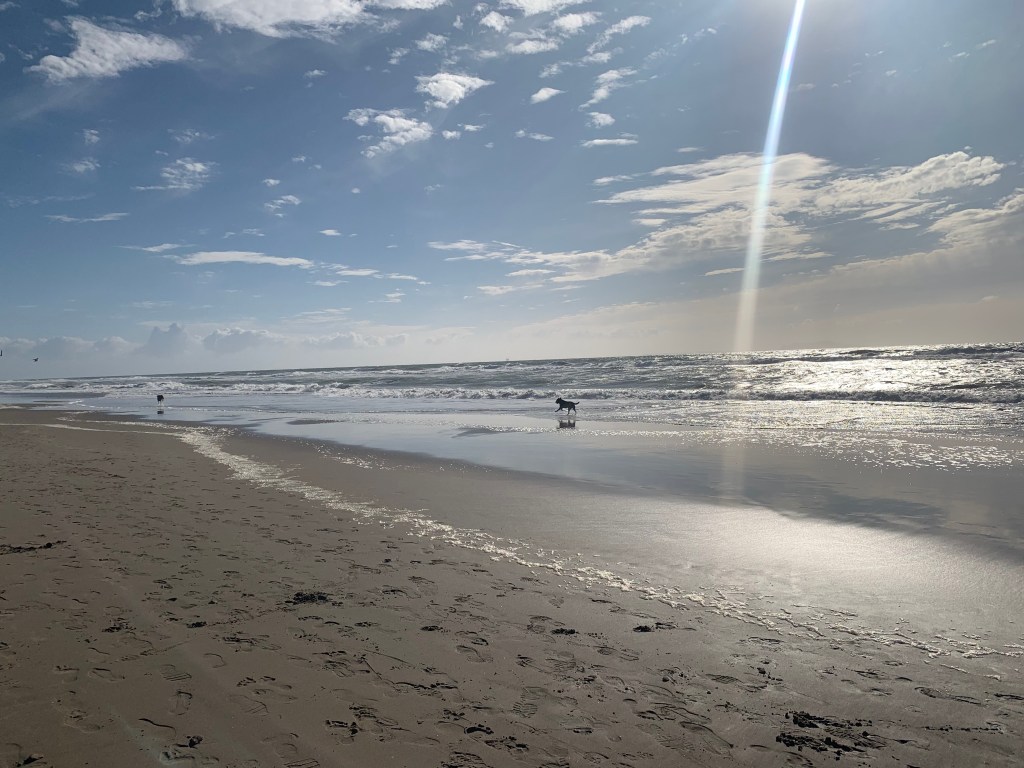 I don’t miss&nbsp;you